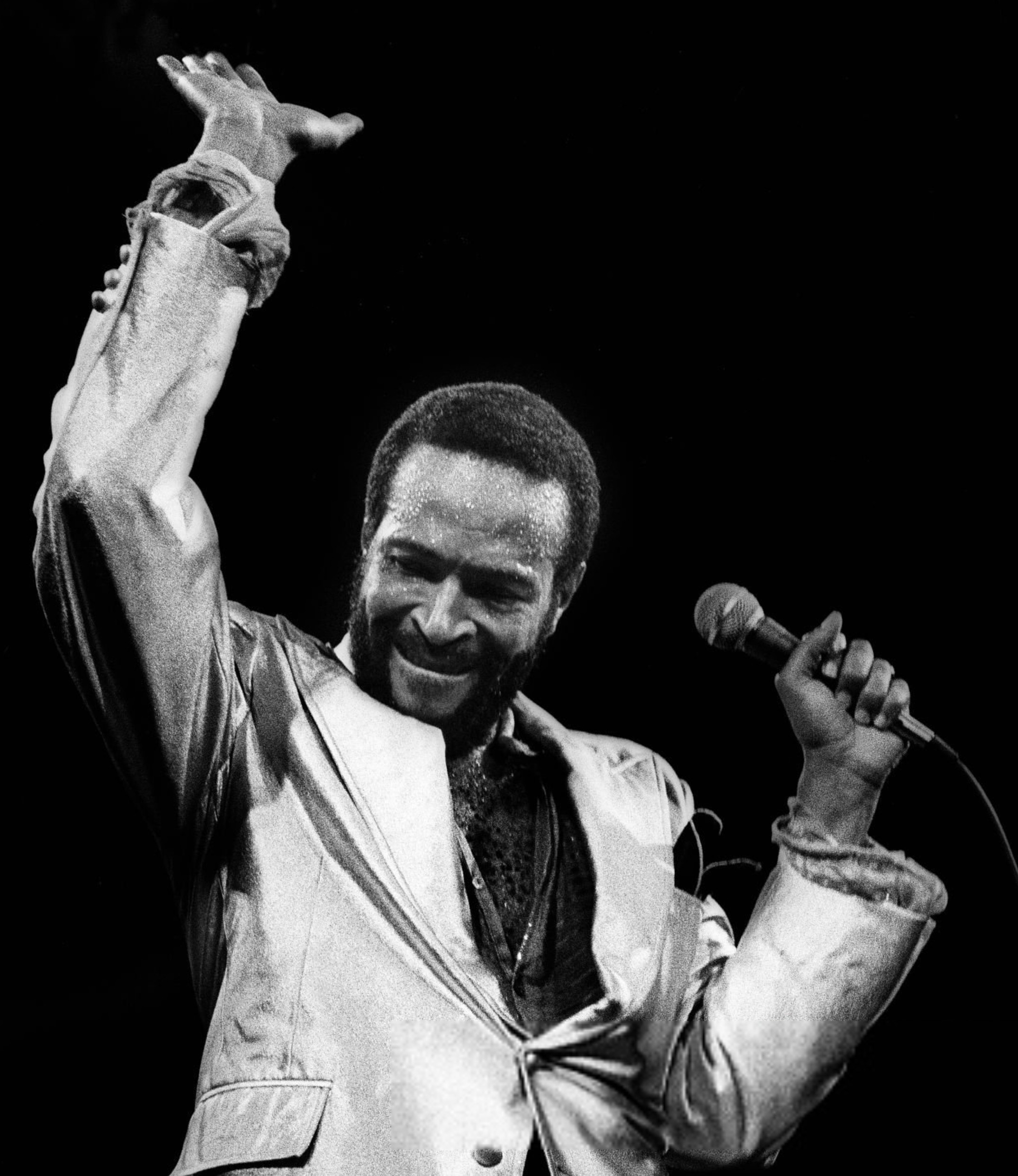 Músicas inéditas de Marvin Gaye são encontradas na Bélgica