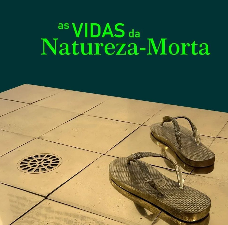 NOVA EXPOSIÇÃO “As Vidas da Natureza-Morta” abre a programação de exposições 2024 do Museu Afro Brasil Emanoel Araujo