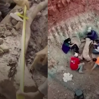 Cientistas brasileiros descobrem novo dinossauro gigante, de 20 metros; Fóssil foi encontrado no Maranhão