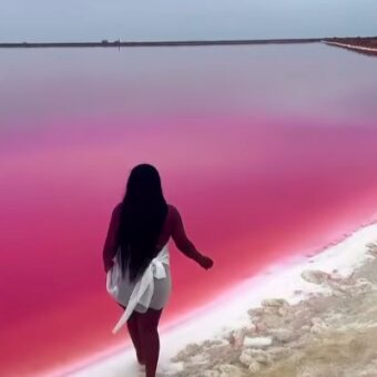 Lago cor-de-rosa na Namíbia chama atenção pela cor vibrante criada por microrganismos extremos