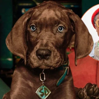 Lenda do OutKast, André 3000 integra elenco de nova série de Scooby-Doo