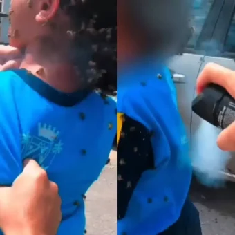 Menina atacada por enxame de abelhas deixa UTI após ser salva por motociclista em Minas Gerais