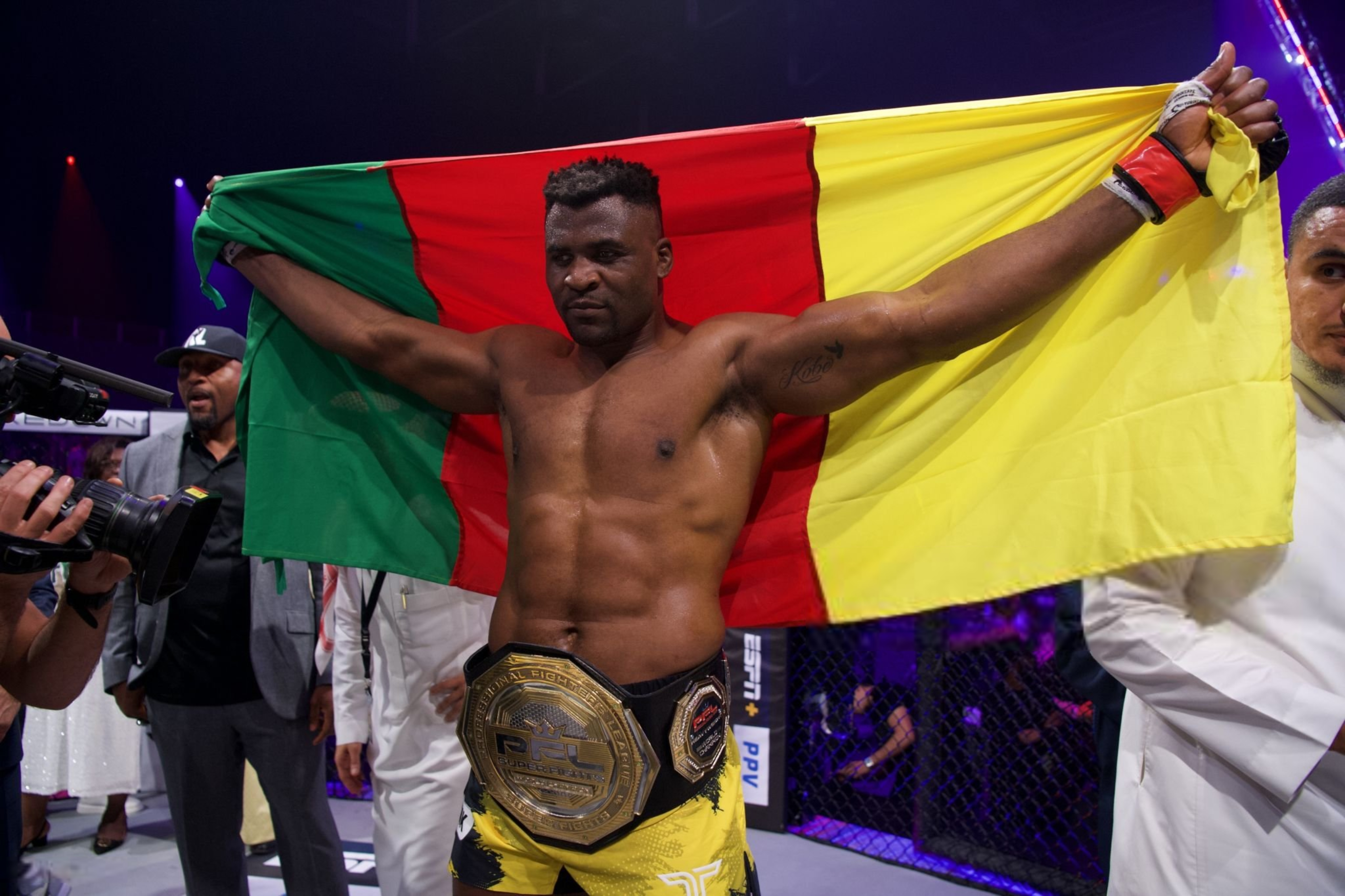 Francis Ngannou vence Renan Problema