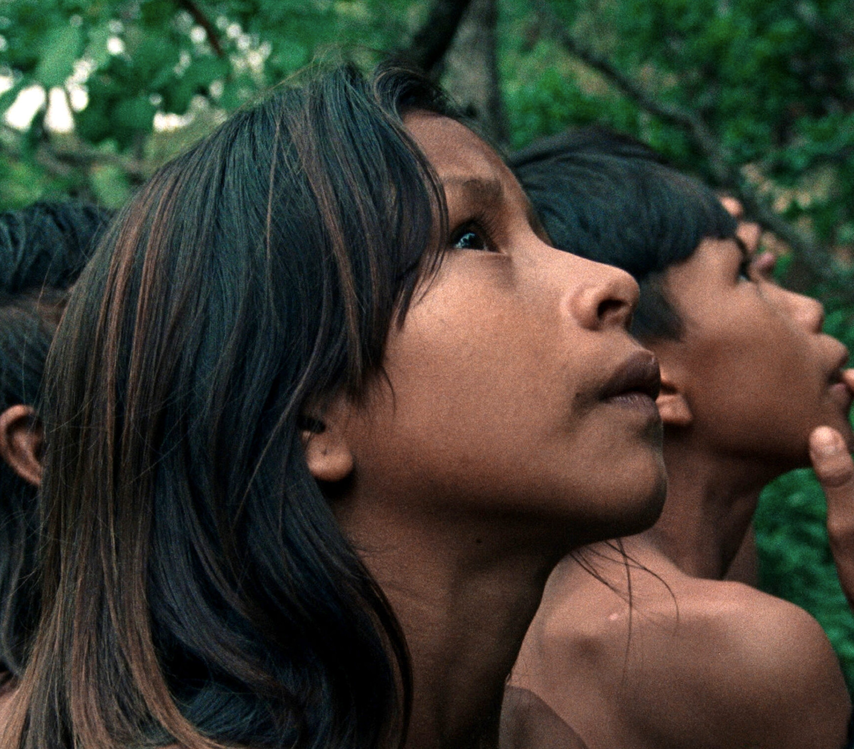 “A Flor do Buriti” filme brasileiro premiado em Cannes, ganha data e trailer