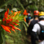 Estudo mostra que um terço dos parques nacionais tem programa de voluntariado