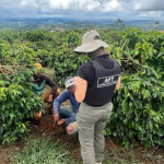 STJ condena proprietário de fazenda no Pará por trabalho análogo à escravidão